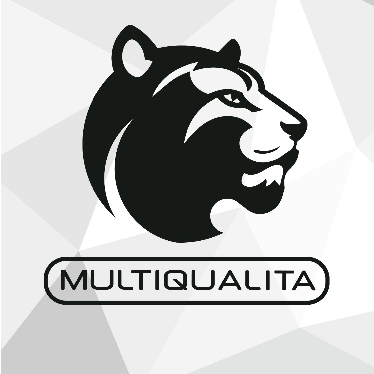 MULTIQUALITA